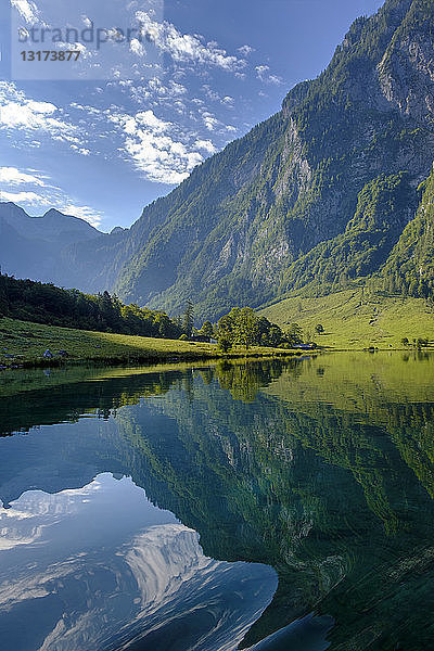 Deutschland  Bayern  Oberbayern  Berchtesgadener Alpen  Nationalpark Berchtesgaden  Salet Alp