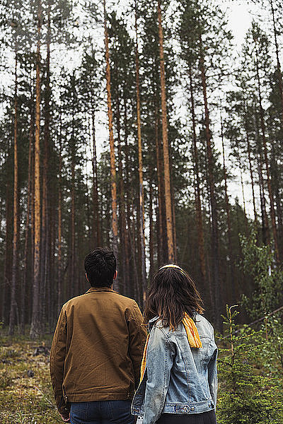 Finnland  Lappland  Rückansicht eines jungen Paares  das in einer ländlichen Landschaft steht