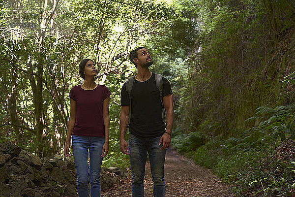 Spanien  Kanarische Inseln  La Palma  Paar beim Spaziergang durch einen Wald  das sich umsieht