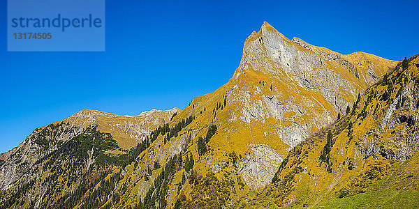 Deutschland  Bayern  Allgäu  Oytal  Herbstwald in den Allgäuer Alpen mit Himmelhorn