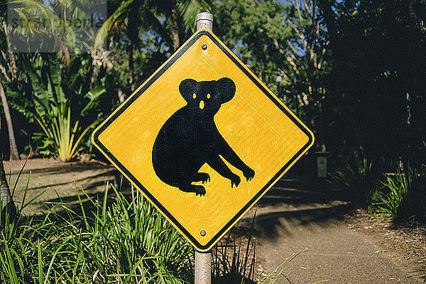 Australien  Magnetic Island  Koala-Tierkreuzungszeichen
