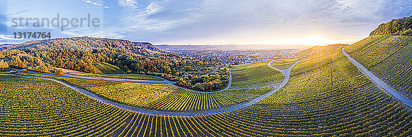 Deutschland  Baden-Württemberg  Luftaufnahme des Korber Kopfes  Weinberge bei Sonnenuntergang im Herbst  Panorama