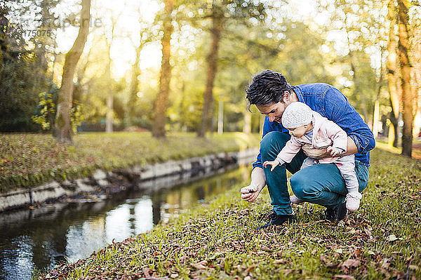 Vater sucht im Park nach Kastanien  mit der kleinen Tochter auf dem Schoss