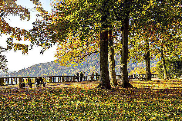Deutschland  Baden-Württemberg  Heidelberg  Schlossgarten im Herbst