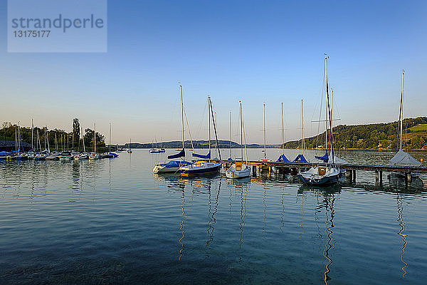 Österreich  Land Salzburg  Flachgau  Mattsee  See und Segelboote am Abend