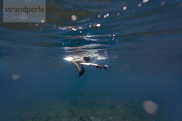 Malediven  Unterwasseransicht eines auf einem Surfbrett sitzenden Surfers  Unterwasserschuss