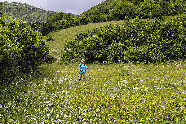 Albanien  Shkoder County  Albanische Alpen  Theth-Nationalpark  Wanderin auf der Blumenwiese