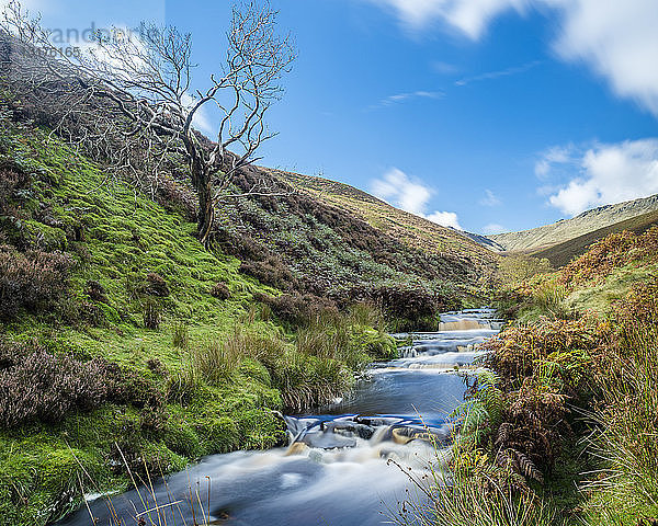 Großbritannien  England  Derbyshire  Peak District  Fairbrook im Herbst