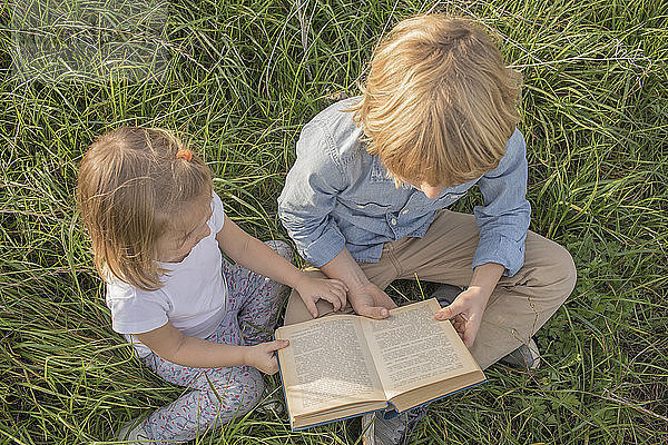 Bruder und seine kleine Schwester sitzen auf einer Wiese und lesen ein Buch  Draufsicht