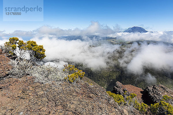 Reunion  Nationalpark Reunion  Route forestiere du Volcan  Blick von Riviere des Remparts und Piton des Neiges