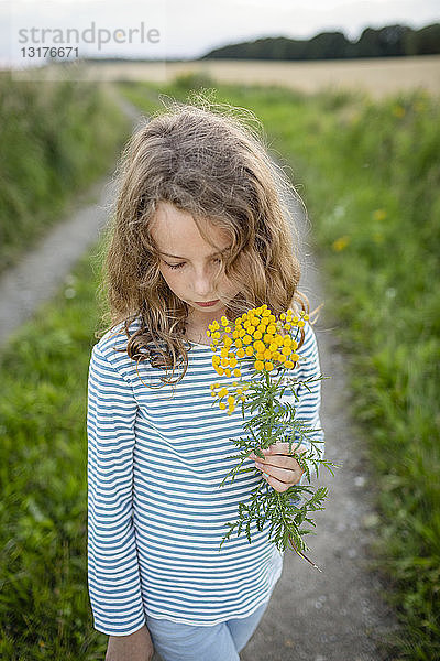 Mädchen steht auf Feldweg mit einer Wildblume