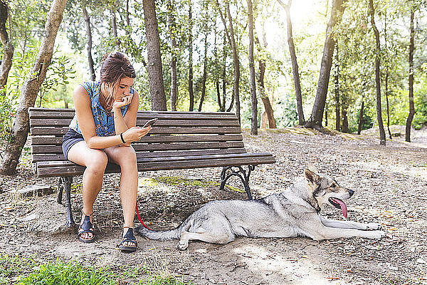 Junge Frau sitzt auf einer Bank im Wald und schaut auf ihr Handy  während ihr Hund auf dem Boden liegt