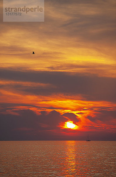 Kroatien  Istrien  Porec  Adria  Segelboot bei Sonnenuntergang