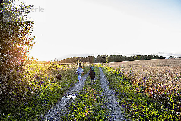 Zwei Kinder mit einem Hund gehen bei Sonnenuntergang auf einem Feldweg