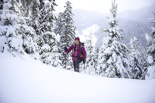 Österreich  Altenmarkt-Zauchensee  junge Frau mit Hund auf Skitour im Winterwald