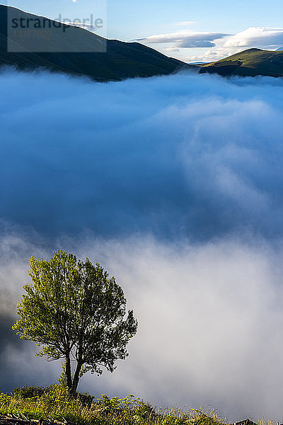 Italien  Umbrien  Sibillini-Nationalpark  Piano Grande di Castelluccio di Norcia am Vormittag  Nebel