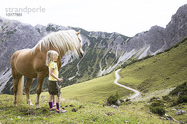 Österreich  Südtirol  junges Mädchen mit Pferd auf der Wiese