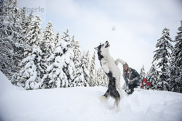 Österreich  Altenmarkt-Zauchensee  junge Frau mit Hund im Winterwald