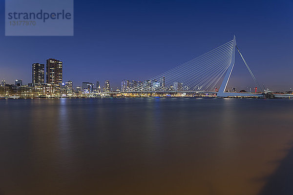 Niederlande  Holland  Rotterdam  Erasmusbrug