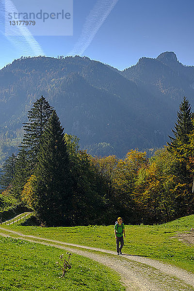 Deutschland  Bayern  Oberbayern  Chiemgau  bei Schleching  Achental  Wanderer auf Wanderweg