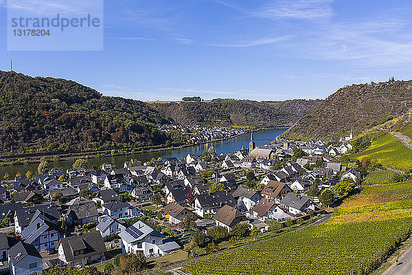 Deutschland  Rheinland-Pfalz  Mayen-Koblenz  Mosel  Stadt Alken und Weinberge