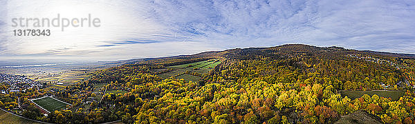 Deutschland  Hessen  Oestrich-Winkel  Rheingau  Luftbild im Herbst