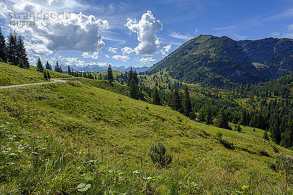 Österreich  Tirol  Juifen  Rotwand-Alm