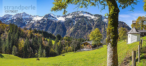 Deutschland  Bayern  Allgäu  Allgäuer Alpen  Dietersbachtal  Gerstruben  Bauernhaus  Bergbauernhof  ehemaliges Bauerndorf