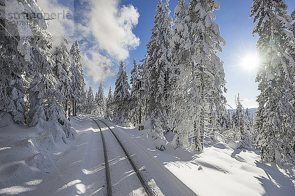 Deutschland  Sachsen-Anhalt  Nationalpark Harz  Brocken  Gleise der Harzer Schmalspurbahn im Winter gegen die Sonne
