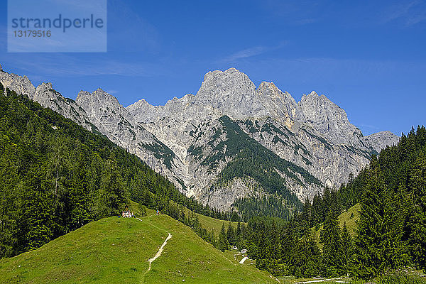 Deutschland  Bayern  Berchtesgadener Land  Berchtesgadener Alpen  Klausbachtal  Bindalm  Mühlsturzhöhrer