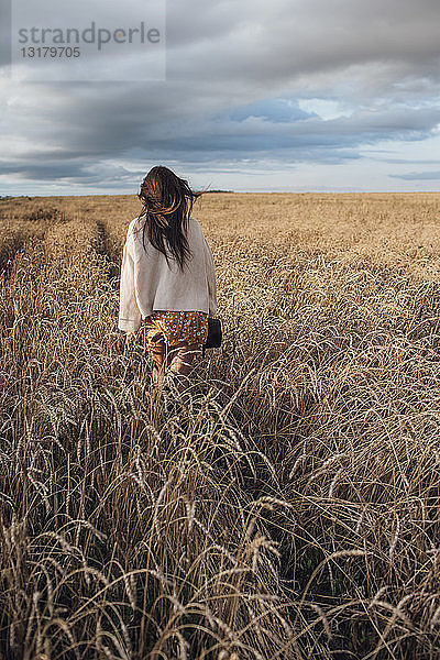 Rückenansicht einer jungen Frau  die im Maisfeld geht