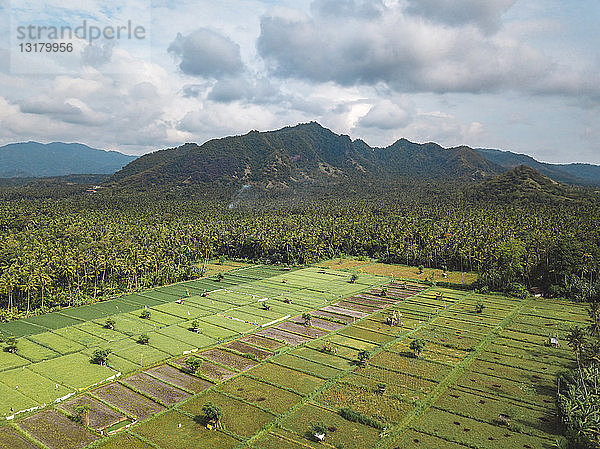 Indonesien  Bali  Candidasa  Luftaufnahme der Reisfelder