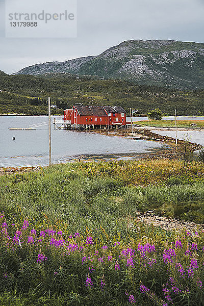 Nordnorwegen  Lappland  Rotes Holzhaus an einem Fjord