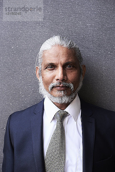 Porträt eines hochrangigen Geschäftsmannes mit grauem Haar und Bart in Anzug und Krawatte