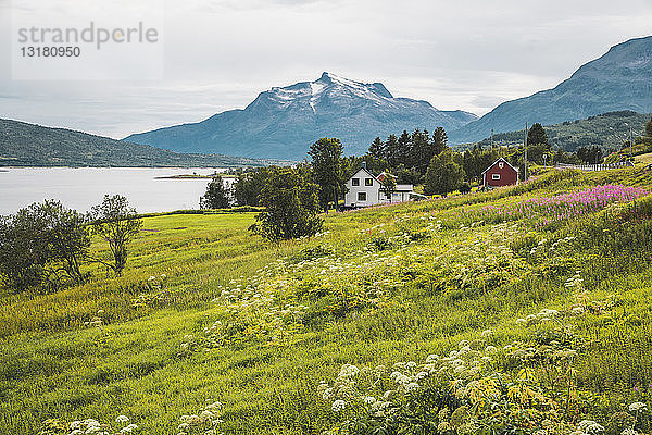 Nordnorwegen  Lappland  Landschaft an einem Fjord