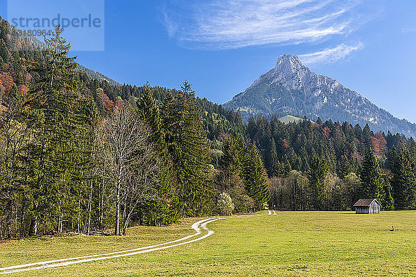 Deutschland  Bayern  Ostallgäu  Pfronten  Allgäuer Alpen  Aggenstein im Herbst