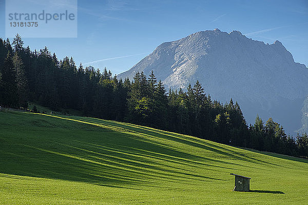 Deutschland  Bayern  Berchtesgadener Land  Berchtesgadener Alpen  Hochschwarzeck bei Ramsau  Watzmann im Hintergrund