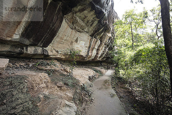 Thailand  Ubon Ratchathani  Pha-Taem-Nationalpark  Felsklippe mit Petroglyphen