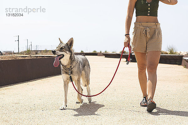 Junge Frau geht mit ihrem Hund spazieren  Teilansicht