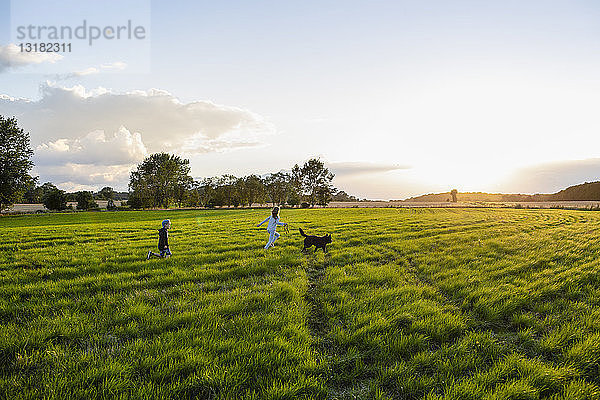 Zwei Kinder mit einem Hund laufen bei Sonnenuntergang über ein Feld