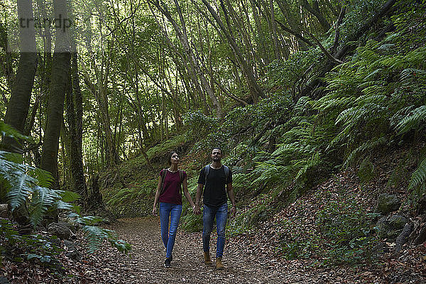 Spanien  Kanarische Inseln  La Palma  Ehepaar geht Hand in Hand durch einen Wald
