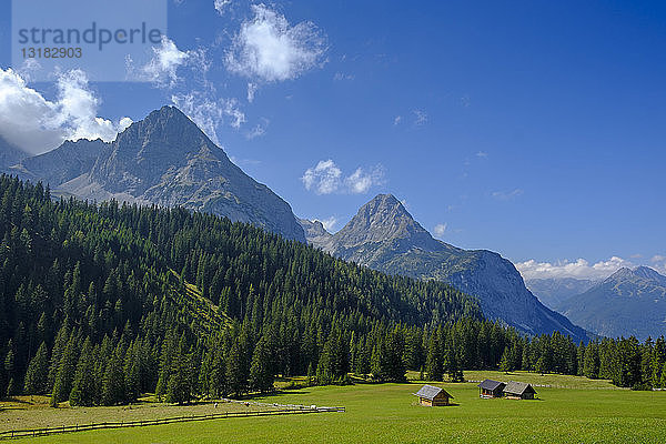 Österreich  Tirol  Wettersteingebirge  Mieminger Kette  Ehrwaldalm und Sonnenspitze