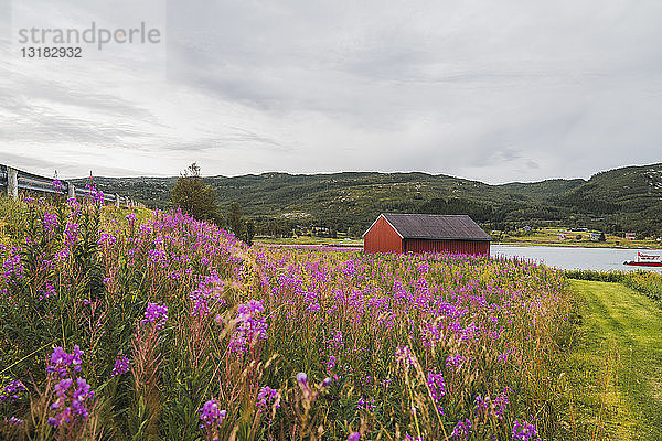 Nordnorwegen  Lappland  Rotes Holzhaus an einem Fjord