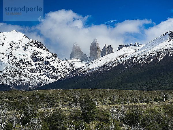 Chile  Patagonien  Region Magallanes y la Antartica Chilena  Nationalpark Torres del Paine  Cerro Paine Grande und Cuernos del Paine in der Nähe der Laguna Amarga