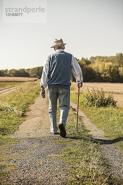 Älterer Mann mit Spazierstock  Spaziergang auf dem Feld  Rückansicht