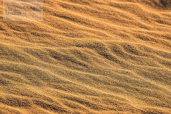 USA  Kalifornien  Death Valley  Death Valley National Park  Mesquite Flat Sand Dunes  Vollbild