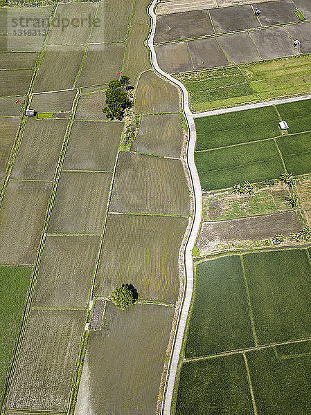 Indonesien  Bali  Luftaufnahme von Sanur  Reisfelder