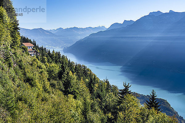 Schweiz  Kanton Bern  Berner Alpen  Interlaken  Blick auf den Brienzersee  Blick vom Harder Kulm