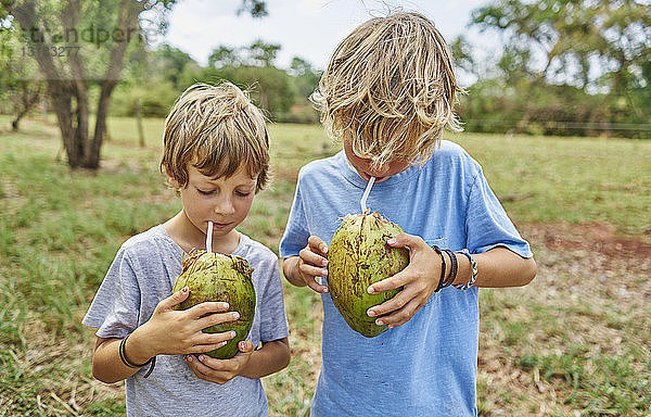 Brasilien  Bonito  zwei Jungen  die mit Strohhalmen aus Kokosnuss trinken