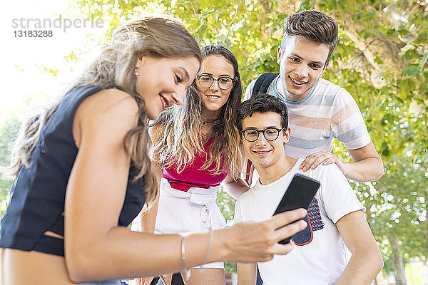 Eine Gruppe von Freunden im Park genießt die gemeinsame Zeit und schaut auf ein Handy